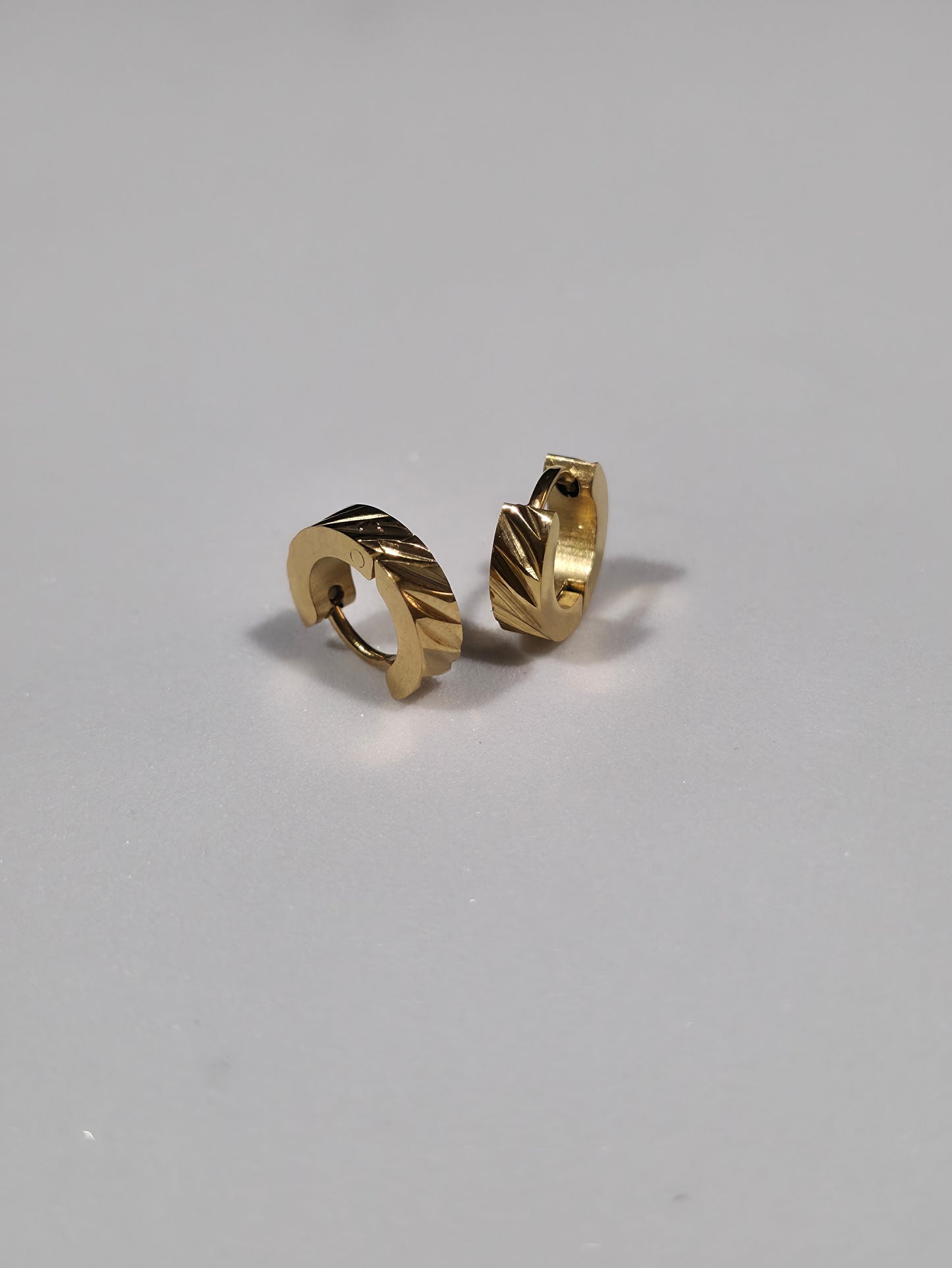 Stainless Steel Earrings