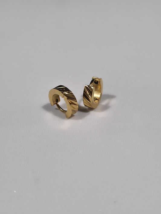 Stainless Steel Earrings