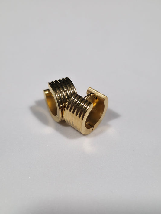 Stainless Steel Earrings