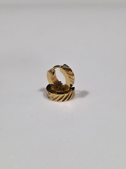 Stainless Steel Earrings