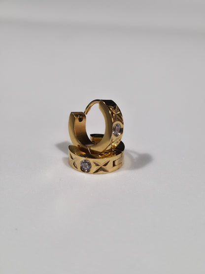 Stainless Steel Earrings