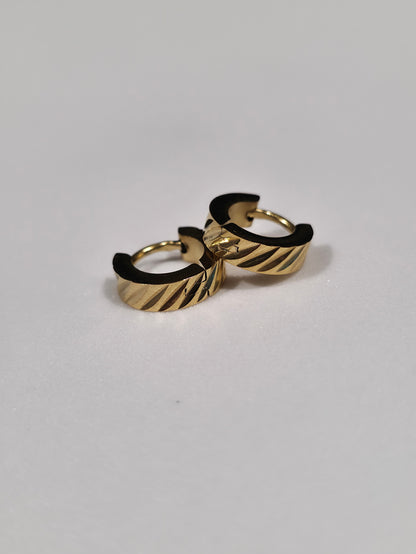 Stainless Steel Earrings