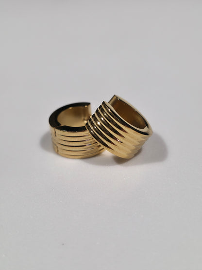 Stainless Steel Earrings