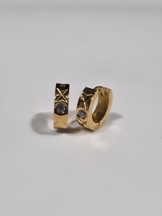 Stainless Steel Earrings